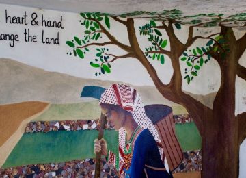 Weigeren om vijanden te zijn op de Westbank in Israel 7