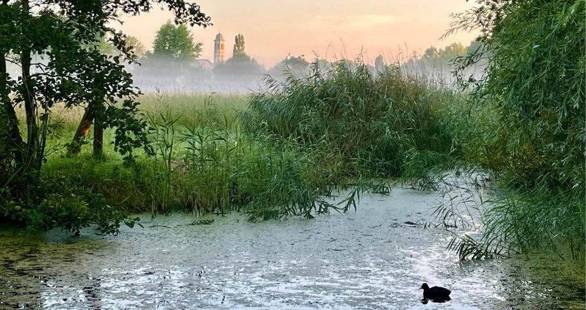 Vakantielectuur: Drie treffende boekjes over de stilte 4