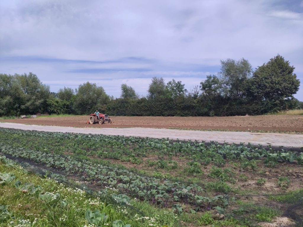 "Laten we onze voedselproductie opnieuw in eigen handen nemen" 13