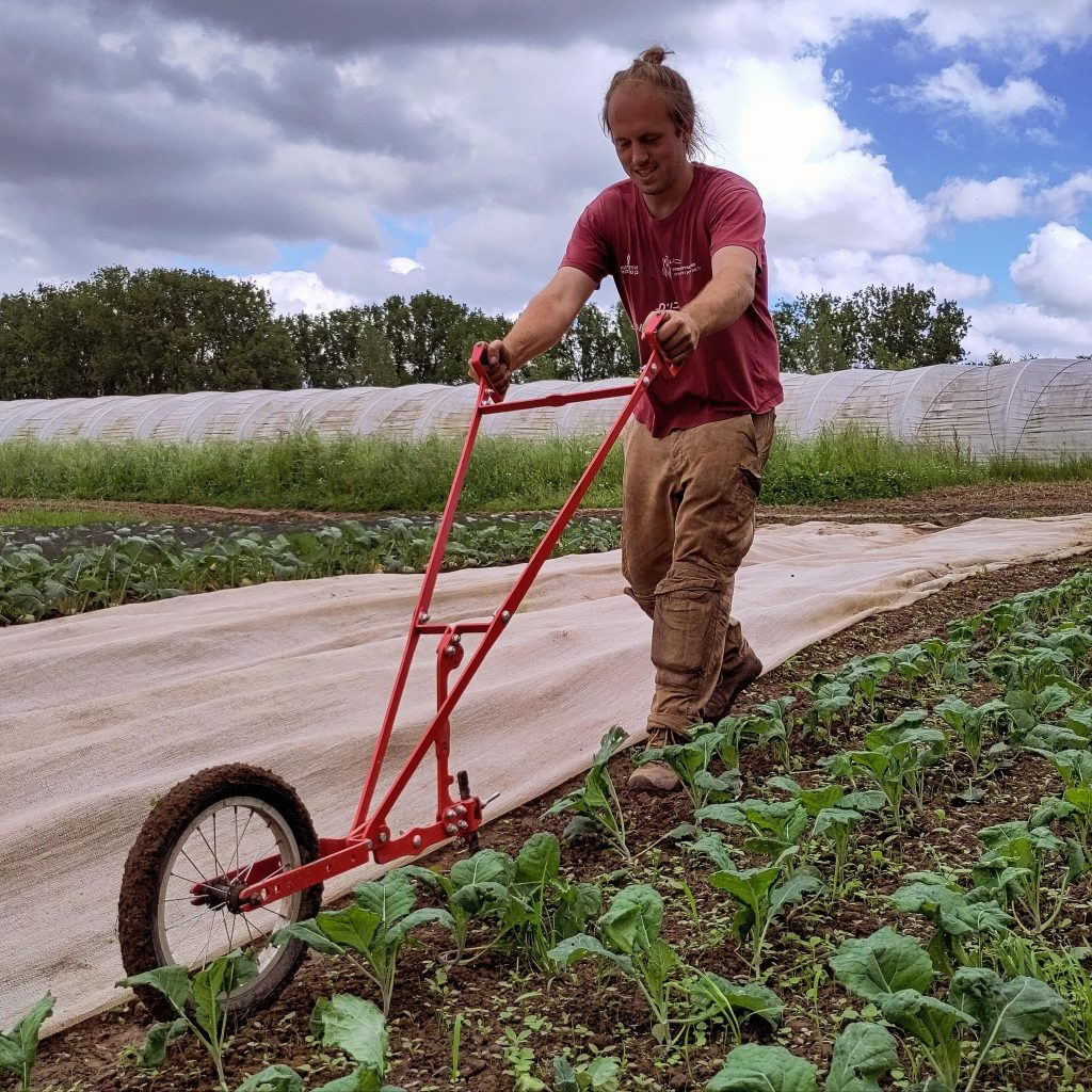 "Laten we onze voedselproductie opnieuw in eigen handen nemen" 4