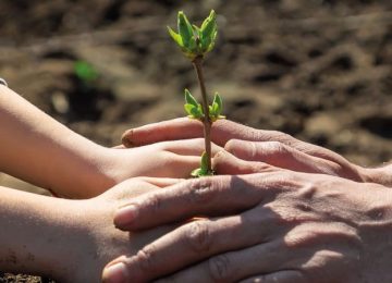 De ECO-kerngroep stimuleert stapjes in ecologische transitie 1