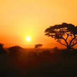 Hoe een jagersvolk in Noord-Congo praat over God de vader