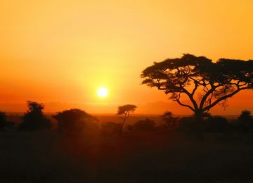 Hoe een jagersvolk in Noord-Congo praat over God de vader