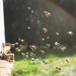 Zo gaat een ignatiaans functioneringsgesprek: ben je nog gelukkig in je roeping?