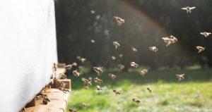 Zo gaat een ignatiaans functioneringsgesprek: ben je nog gelukkig in je roeping?