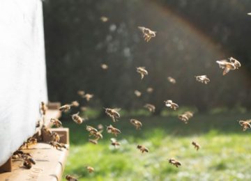 Zo gaat een ignatiaans functioneringsgesprek: ben je nog gelukkig in je roeping?