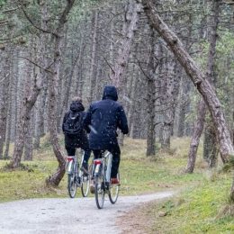 Stekkerfietsen en trapfietsen