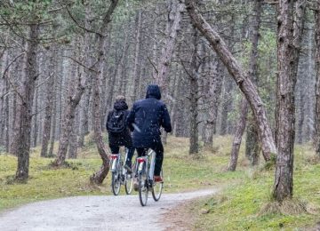 Stekkerfietsen en trapfietsen