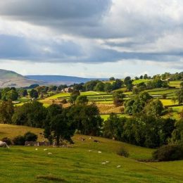 Zomerserie stilte: 'stilteprikken' in het drukke alledaagse leven