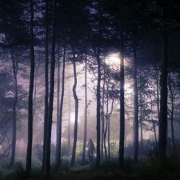 Geestelijke begeleiding: Ga je mee het donkere of het lichte bos in?