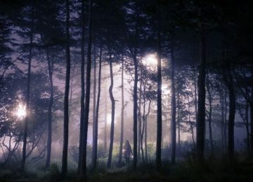 Geestelijke begeleiding: Ga je mee het donkere of het lichte bos in?