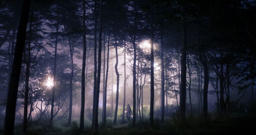 Geestelijke begeleiding: Ga je mee het donkere of het lichte bos in?