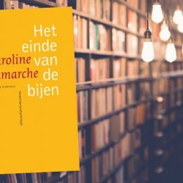 De laatste levensjaren van moeder