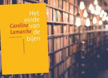 De laatste levensjaren van moeder