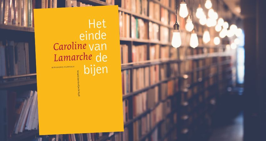 De laatste levensjaren van moeder