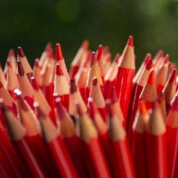 Feest van de democratie?