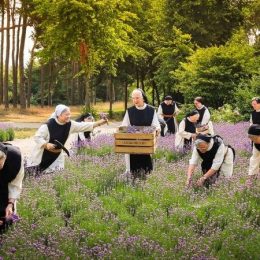 Vrouwen, de verandering gebeurt stilletjes elke dag, ondanks Rome 4
