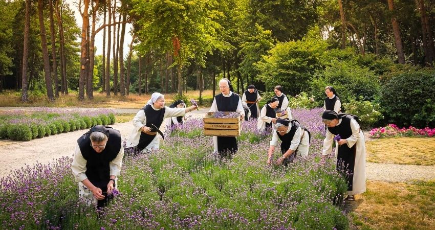 Vrouwen, de verandering gebeurt stilletjes elke dag, ondanks Rome 4