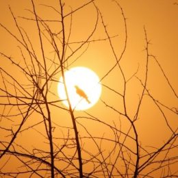 Zonne-energie van de beste Bron: durf ik over te stappen?