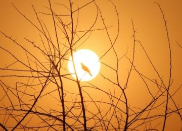 Zonne-energie van de beste Bron: durf ik over te stappen?