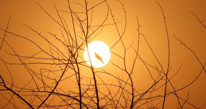 Zonne-energie van de beste Bron: durf ik over te stappen?