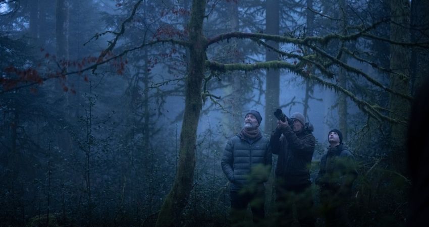 Le chant des forêts: Hoe voelt het om diep in het bos te zijn? 3